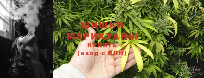 цены   дарк нет как зайти  Шишки марихуана White Widow  Анжеро-Судженск 